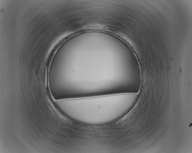 X0000085251123200703090941
