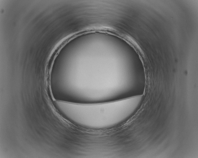 X0000085251124200703090941