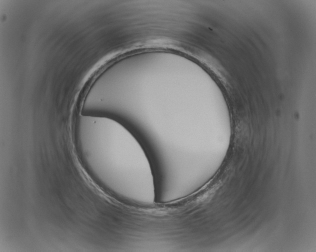 X0000085251126200703090941