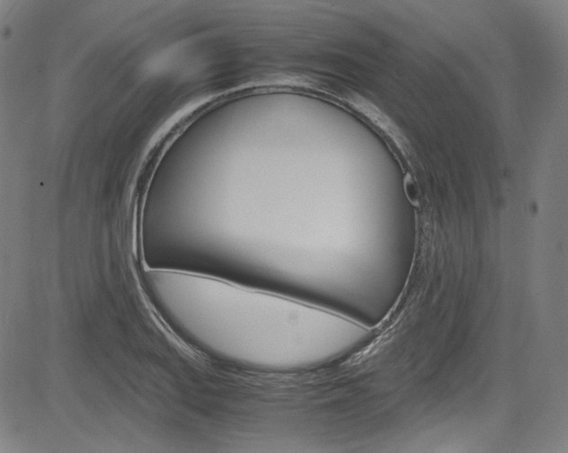X0000085251127200703090941