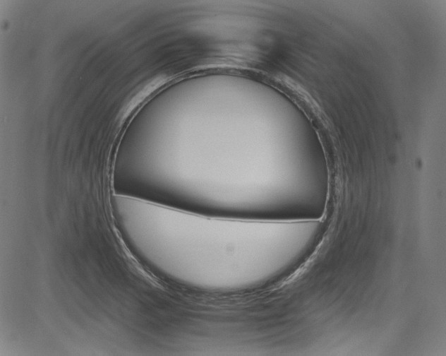 X0000085251129200703090941