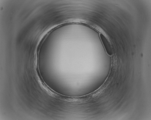 X0000085251132200703090941