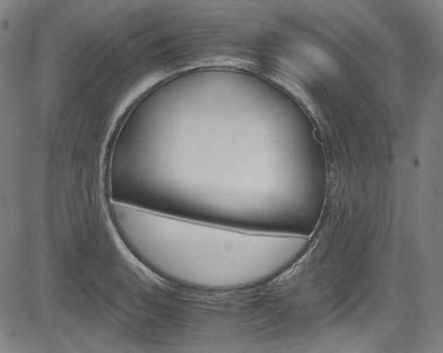 X0000085251135200703090941
