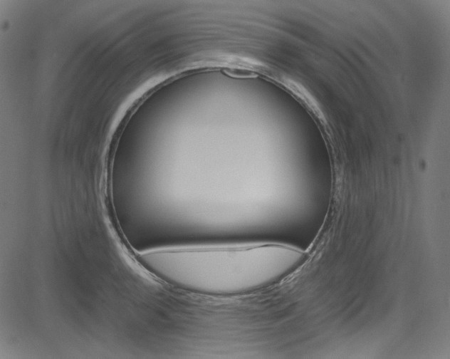 X0000085251136200703090941