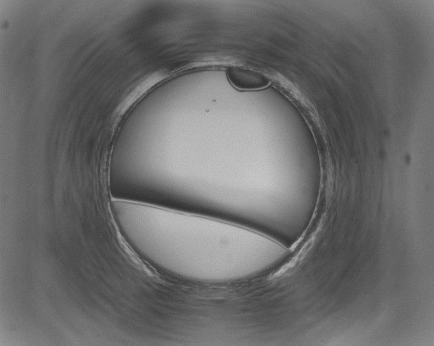 X0000085251137200703090941
