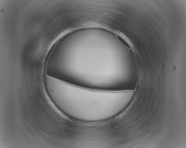 X0000085251142200703090941