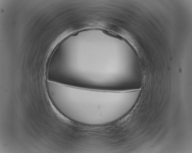 X0000085251143200703090941