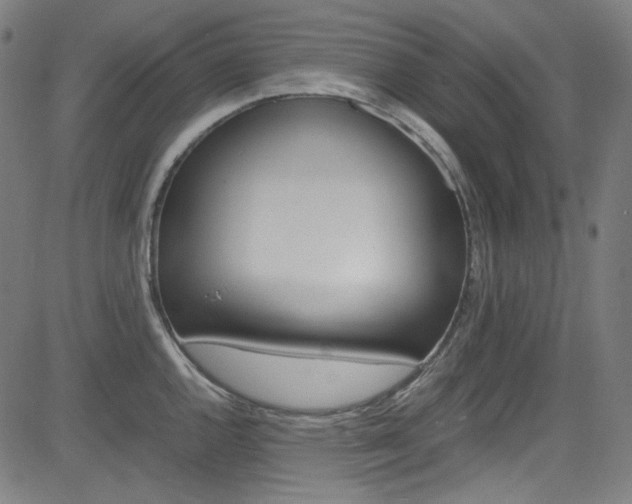 X0000085251144200703090941