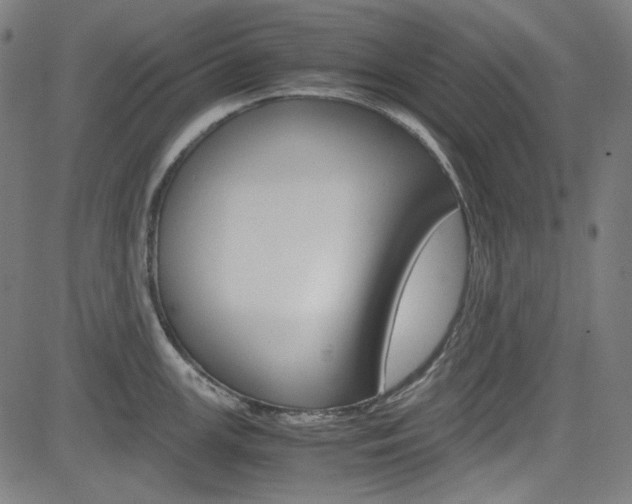 X0000085251147200703090941