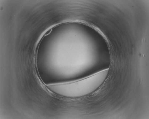X0000085251148200703090941