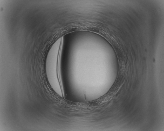 X0000085251153200703090940