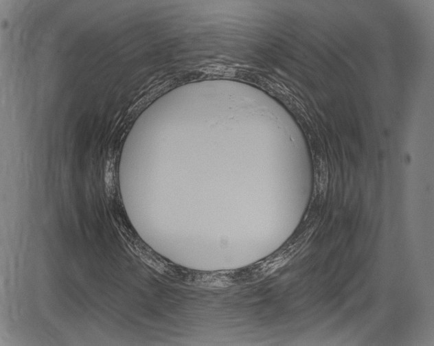 X0000085251154200703090940