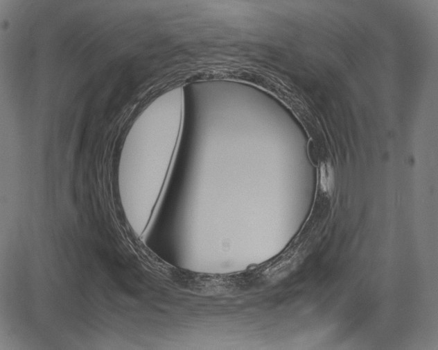 X0000085251155200703090940