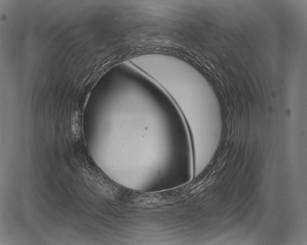 X0000085251156200703090940