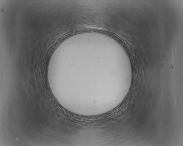 X0000085251157200703090940