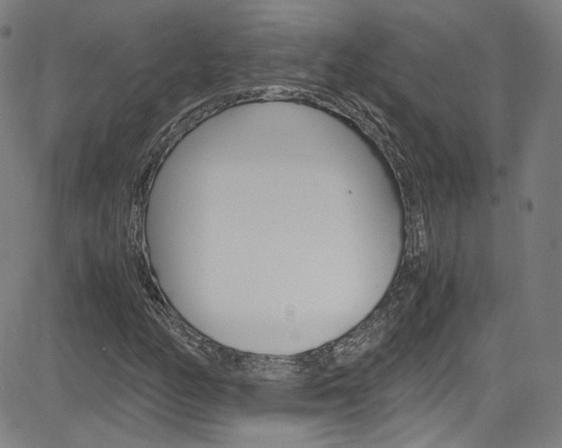 X0000085251158200703090940