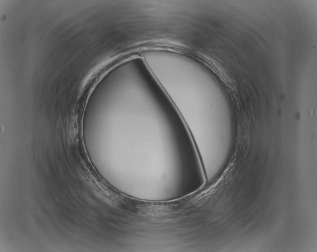 X0000085251164200703090940