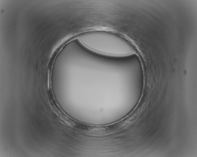 X0000085251171200703090940