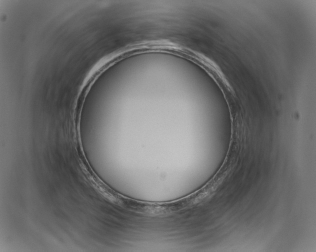 X0000085251176200703090940