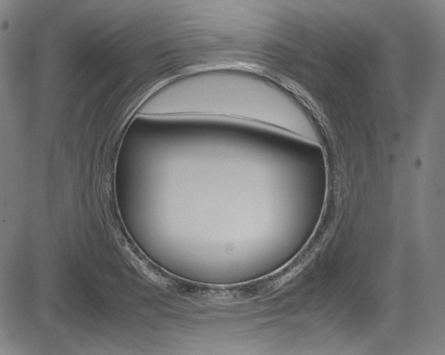 X0000085251177200703090940