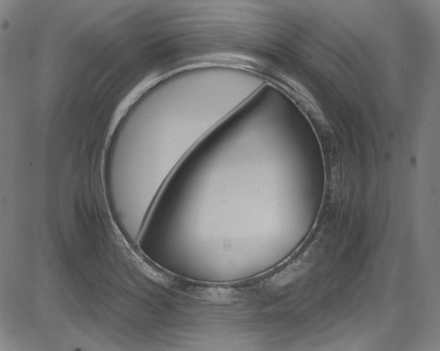 X0000085251180200703090940