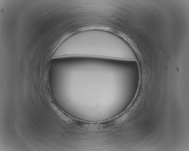 X0000085251185200703090940