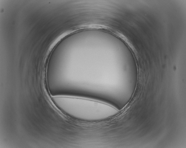 X0000085251187200703090940
