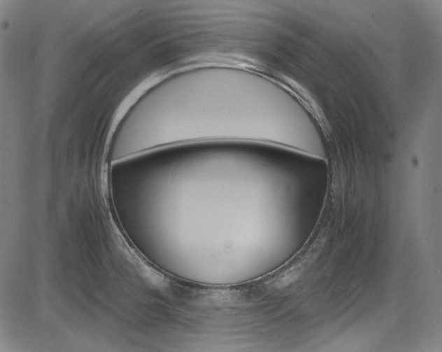 X0000085251188200703090940