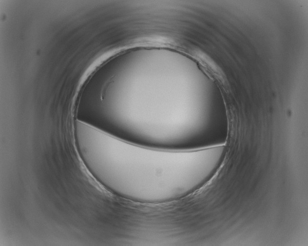 X0000085251192200703090940