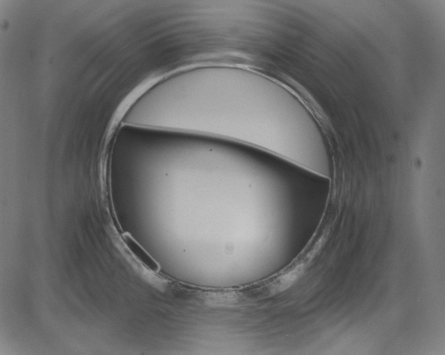 X0000085251196200703090939
