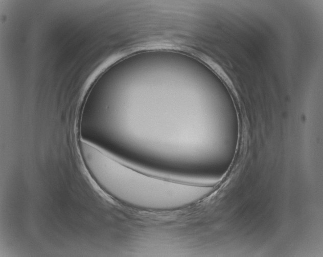 X0000085251197200703090939