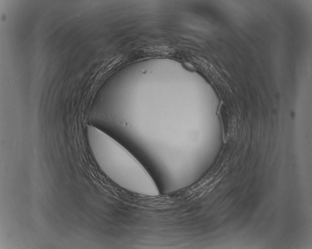 X0000085251201200703090939