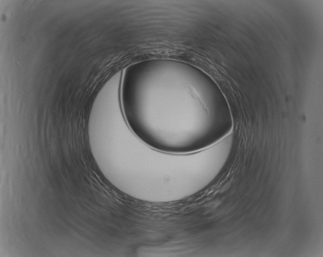 X0000085251202200703090939
