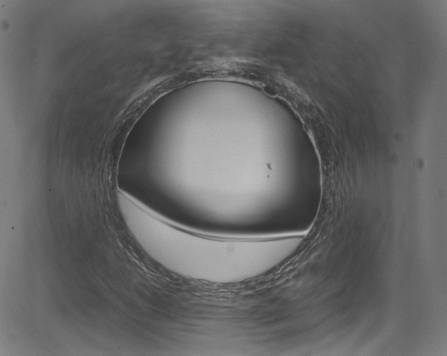 X0000085251206200703090939