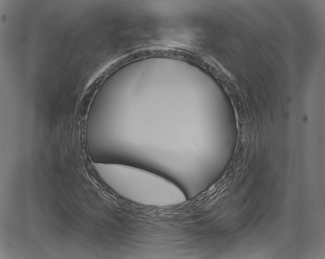 X0000085251208200703090939