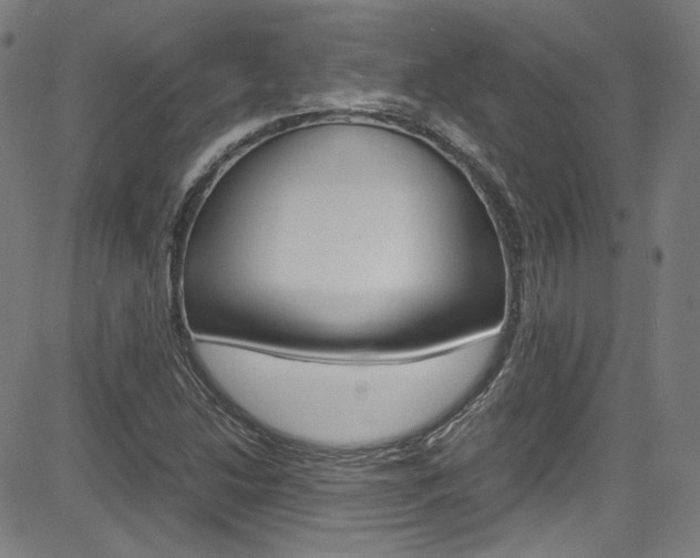 X0000085251214200703090939