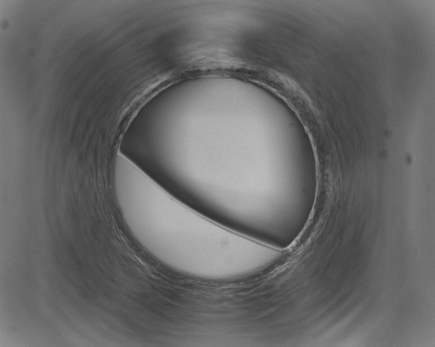 X0000085251217200703090939