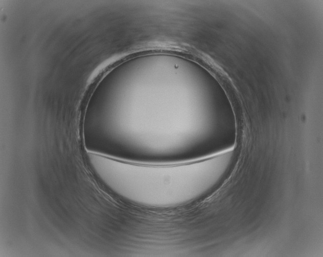 X0000085251222200703090939