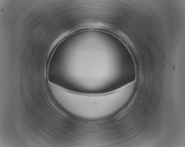 X0000085251226200703090939