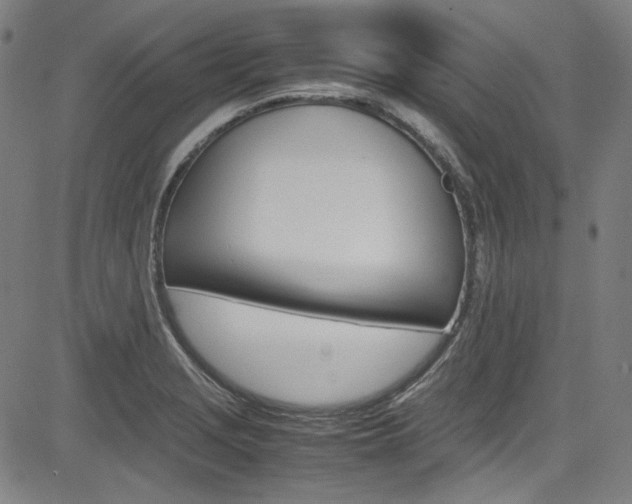 X0000085251229200703090939