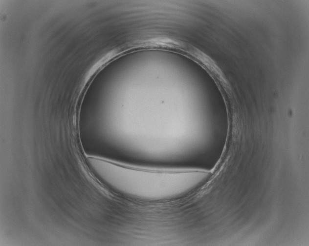 X0000085251234200703090939