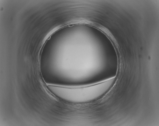 X0000085251242200703090939