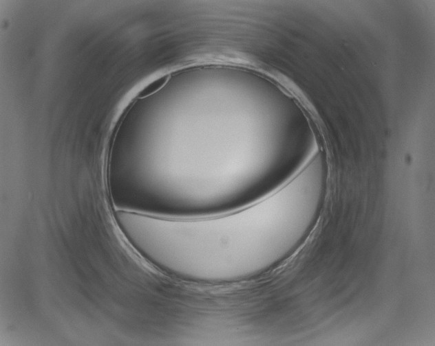 X0000085251246200703090939