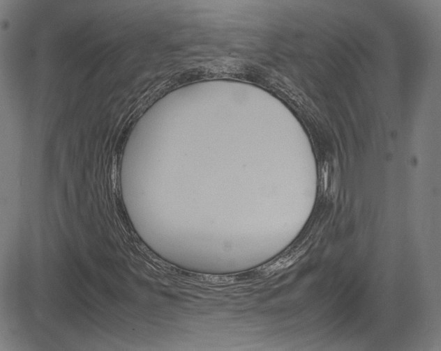 X0000085251251200703090939