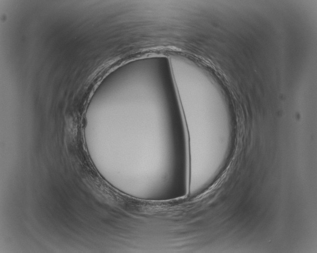 X0000085251257200703090938