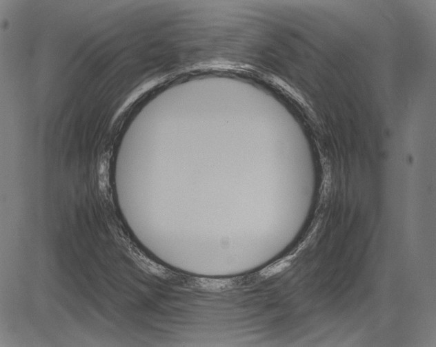X0000085251258200703090938