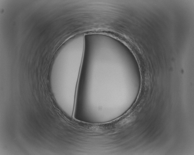 X0000085251265200703090938