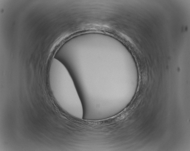 X0000085251267200703090938