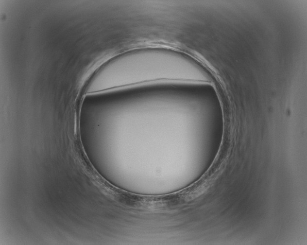 X0000085251269200703090938