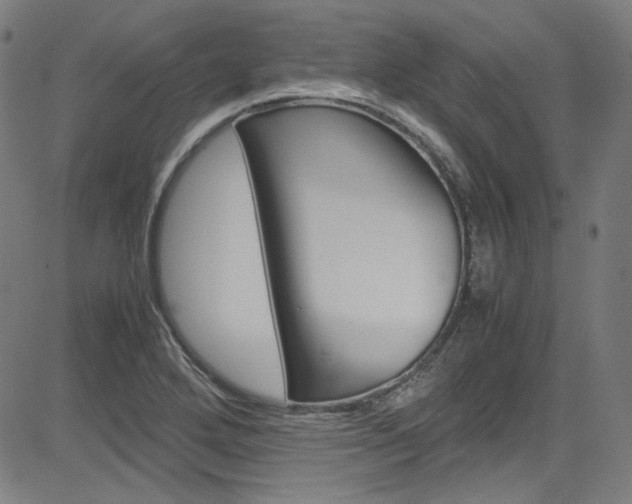 X0000085251272200703090938